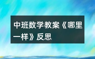 中班數(shù)學教案《哪里一樣》反思