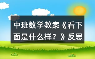 中班數(shù)學(xué)教案《看下面是什么樣？》反思