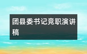 團縣委書記競職演講稿