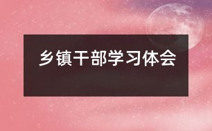 鄉(xiāng)鎮(zhèn)干部學習體會