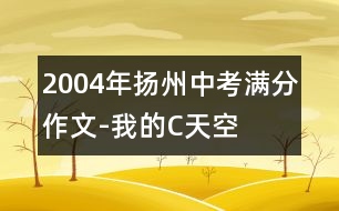 2004年揚州中考滿分作文-我的“C”天空