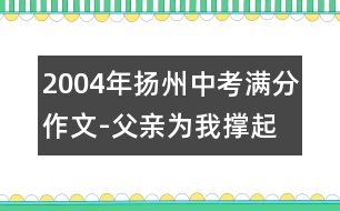 2004年揚州中考滿分作文-父親為我撐起一片藍天