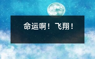 命運(yùn)啊！飛翔！