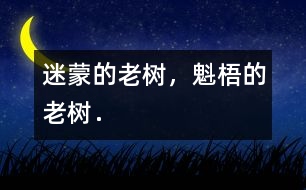 迷蒙的老樹(shù)，魁梧的老樹(shù)．