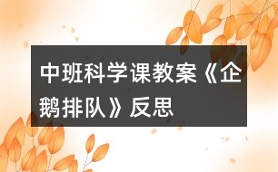 中班科學(xué)課教案《企鵝排隊(duì)》反思