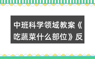 中班科學(xué)領(lǐng)域教案《吃蔬菜什么部位》反思