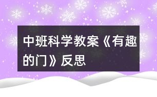 中班科學(xué)教案《有趣的門(mén)》反思