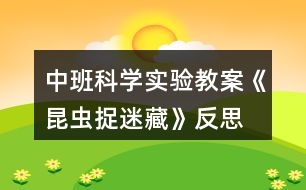 中班科學實驗教案《昆蟲捉迷藏》反思