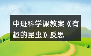 中班科學(xué)課教案《有趣的昆蟲(chóng)》反思