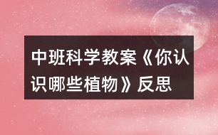 中班科學(xué)教案《你認(rèn)識哪些植物》反思