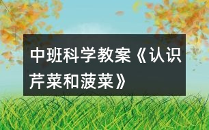 中班科學(xué)教案《認(rèn)識芹菜和菠菜》
