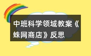 中班科學領域教案《蛛網商店》反思