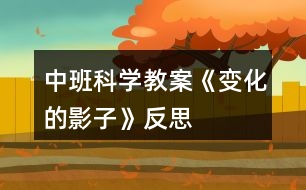 中班科學教案《變化的影子》反思