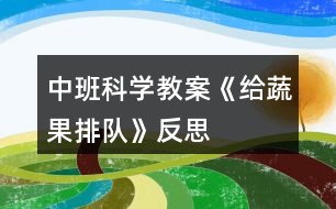 中班科學教案《給蔬果排隊》反思