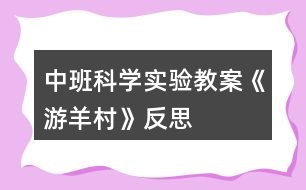 中班科學(xué)實驗教案《游羊村》反思