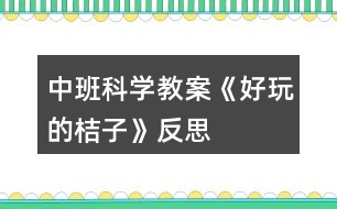 中班科學教案《好玩的桔子》反思