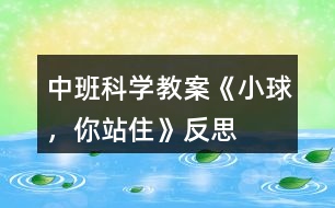 中班科學(xué)教案《小球，你站住》反思