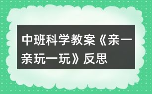 中班科學教案《親一親玩一玩》反思
