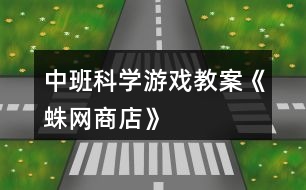 中班科學游戲教案《蛛網(wǎng)商店》