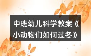 中班幼兒科學(xué)教案《小動(dòng)物們?nèi)绾芜^(guò)冬》反思
