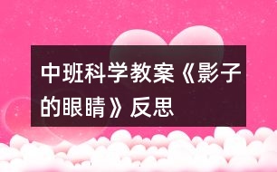 中班科學教案《影子的“眼睛”》反思