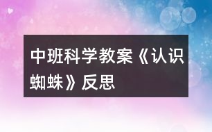 中班科學教案《認識蜘蛛》反思