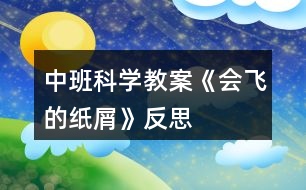 中班科學教案《會飛的紙屑》反思