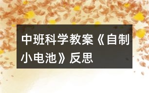 中班科學教案《自制小電池》反思