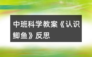 中班科學(xué)教案《認(rèn)識(shí)鯽魚(yú)》反思