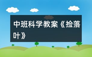 中班科學教案《撿落葉》