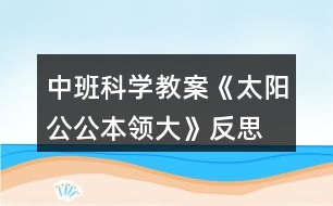 中班科學(xué)教案《太陽公公本領(lǐng)大》反思