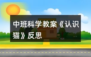 中班科學(xué)教案《認識貓》反思