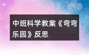 中班科學教案《彎彎樂園》反思
