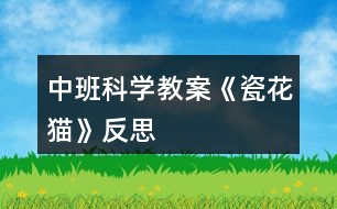中班科學教案《瓷花貓》反思