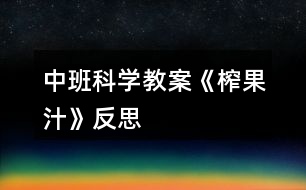中班科學教案《榨果汁》反思