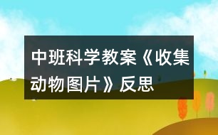 中班科學(xué)教案《收集動物圖片》反思