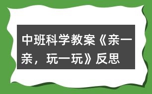 中班科學(xué)教案《親一親，玩一玩》反思