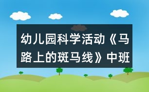 幼兒園科學(xué)活動(dòng)《馬路上的斑馬線》中班教案