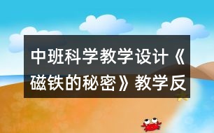 中班科學教學設(shè)計《磁鐵的秘密》教學反思
