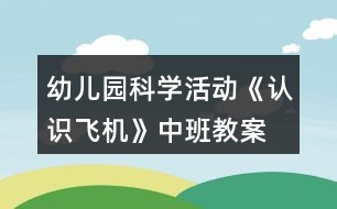 幼兒園科學活動《認識飛機》中班教案