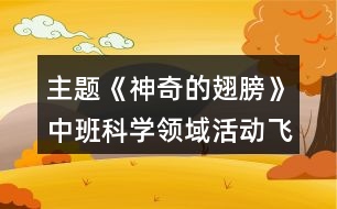 主題《神奇的翅膀》中班科學領域活動飛機反思