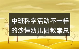 中班科學(xué)活動不一樣的沙錘幼兒園教案總結(jié)