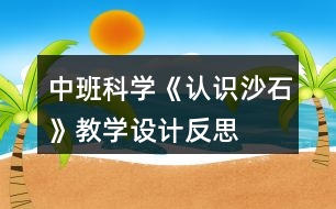 中班科學(xué)《認(rèn)識沙石》教學(xué)設(shè)計反思