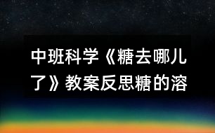 中班科學《糖去哪兒了》教案反思糖的溶解反思