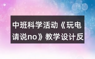 中班科學(xué)活動《玩電請說no》教學(xué)設(shè)計反思