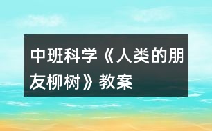 中班科學《人類的朋友柳樹》教案
