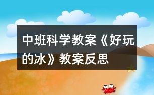 中班科學(xué)教案《好玩的冰》教案反思