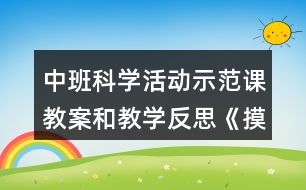 中班科學(xué)活動(dòng)示范課教案和教學(xué)反思《摸摸有什么感覺(jué)》
