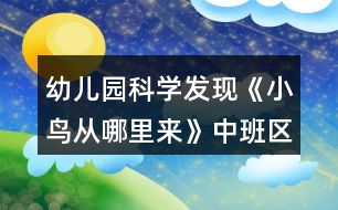 幼兒園科學發(fā)現(xiàn)《小鳥從哪里來》中班區(qū)域教案