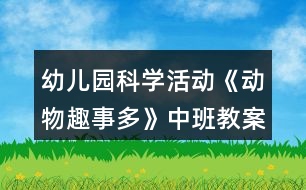 幼兒園科學(xué)活動《動物趣事多》中班教案
